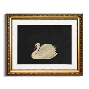 Designer Amazon Modern Home Finds